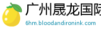 广州晟龙国际货运代理有限公司